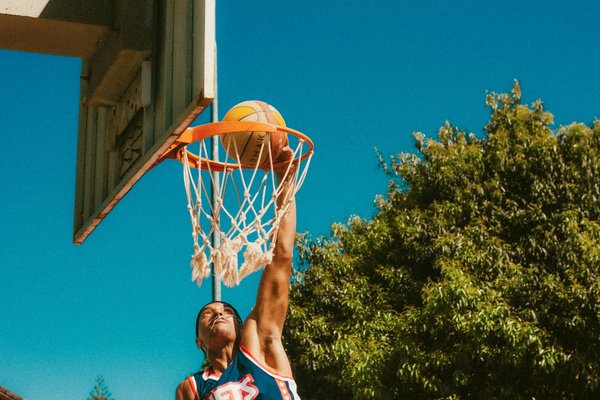 Comment réagir en cas de rencontre avec un animal sauvage lors d'une sortie VTT en forêt?