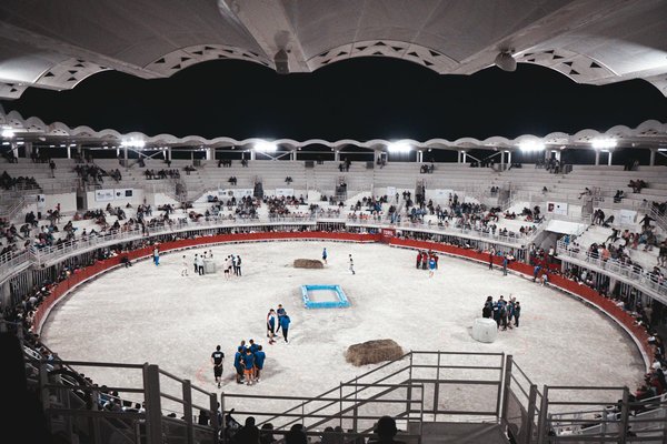 Vtt pour femme : comment bien choisir son vélo adapté à la morphologie féminine